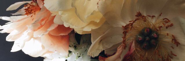 lovefer_'s profile banner image
