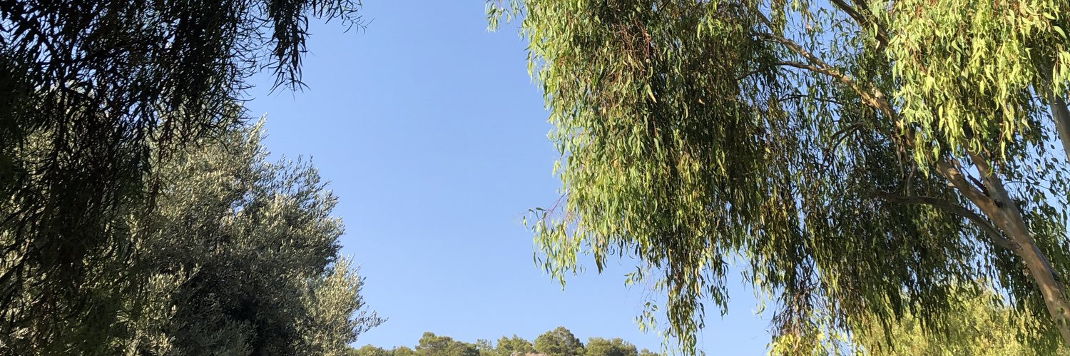 maisielivia_'s profile banner image