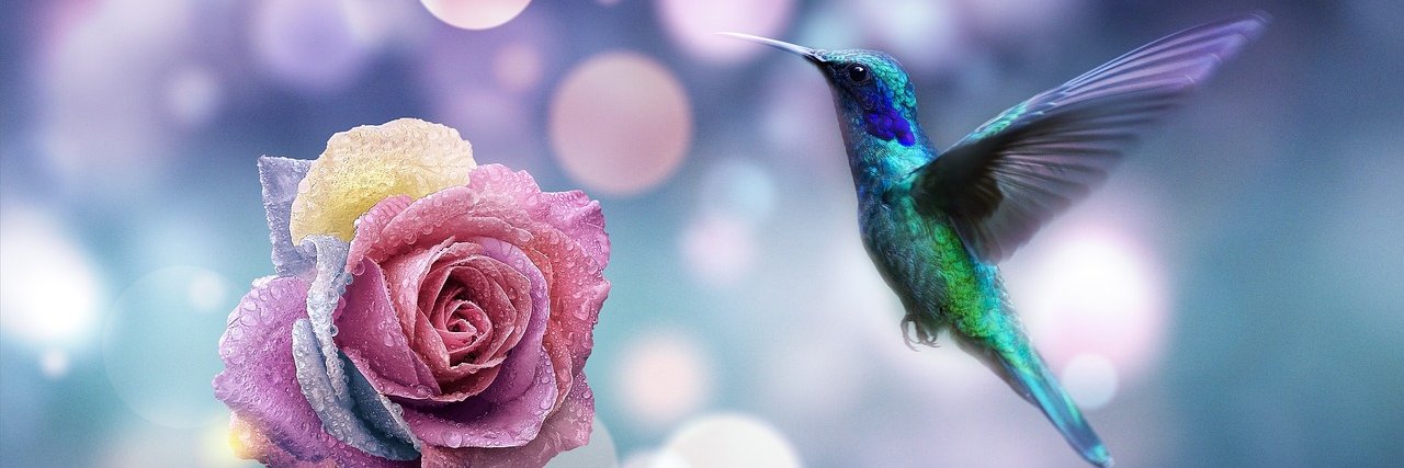 bcgmcETH's profile banner image