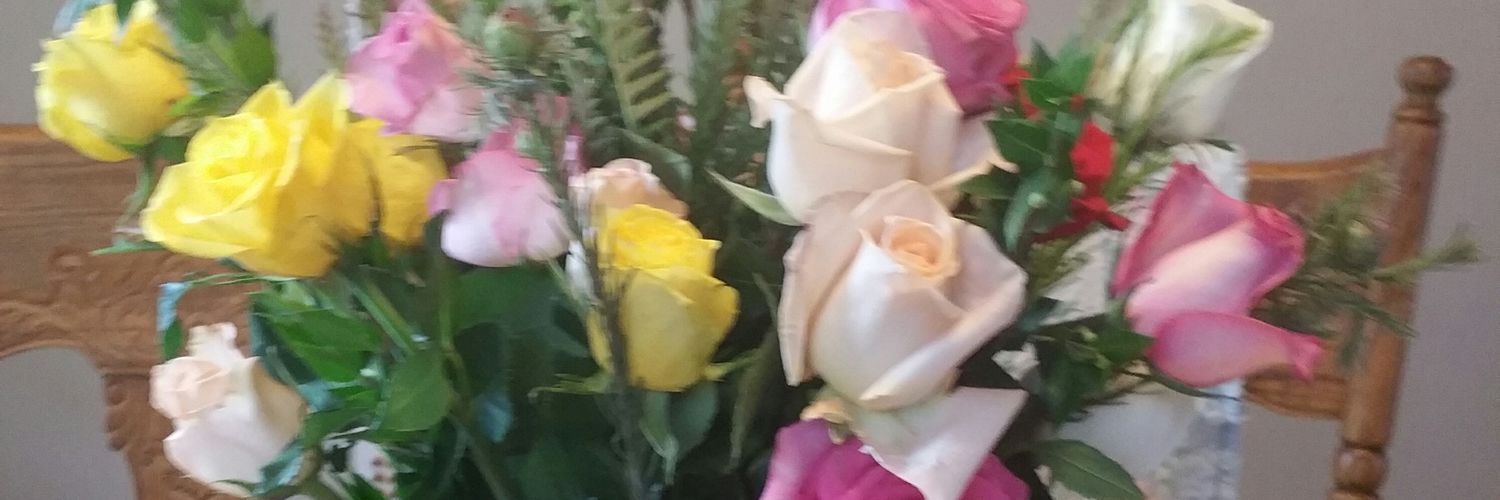 knittyup's profile banner image