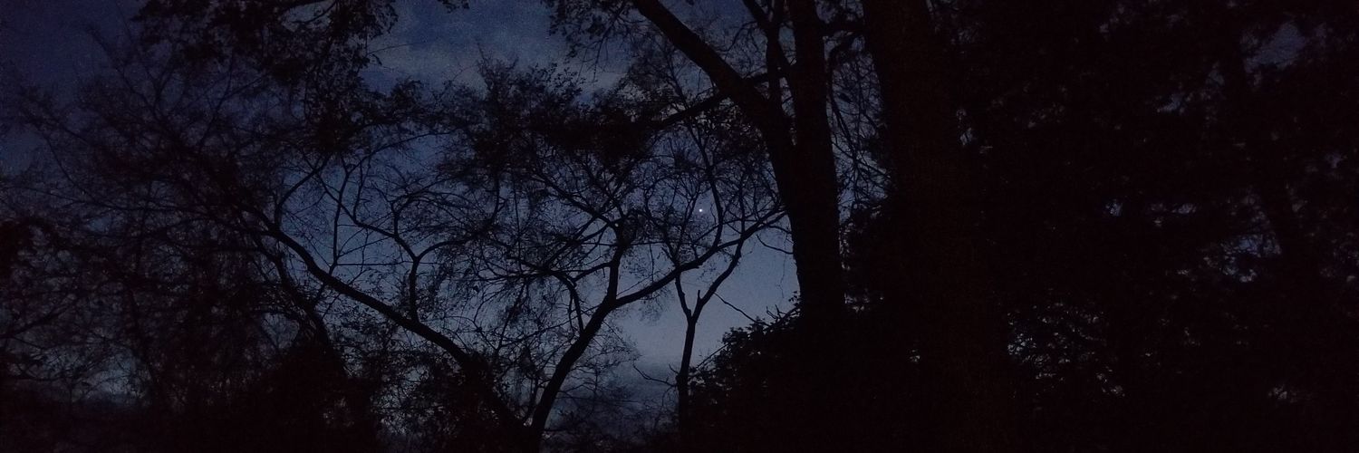 lannehub's profile banner image