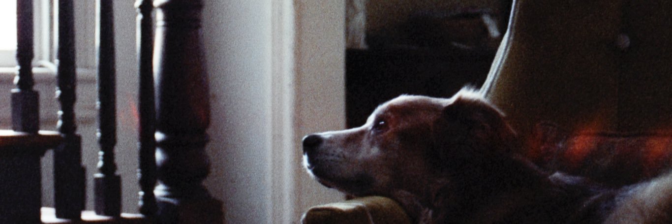jebbrackner's profile banner image
