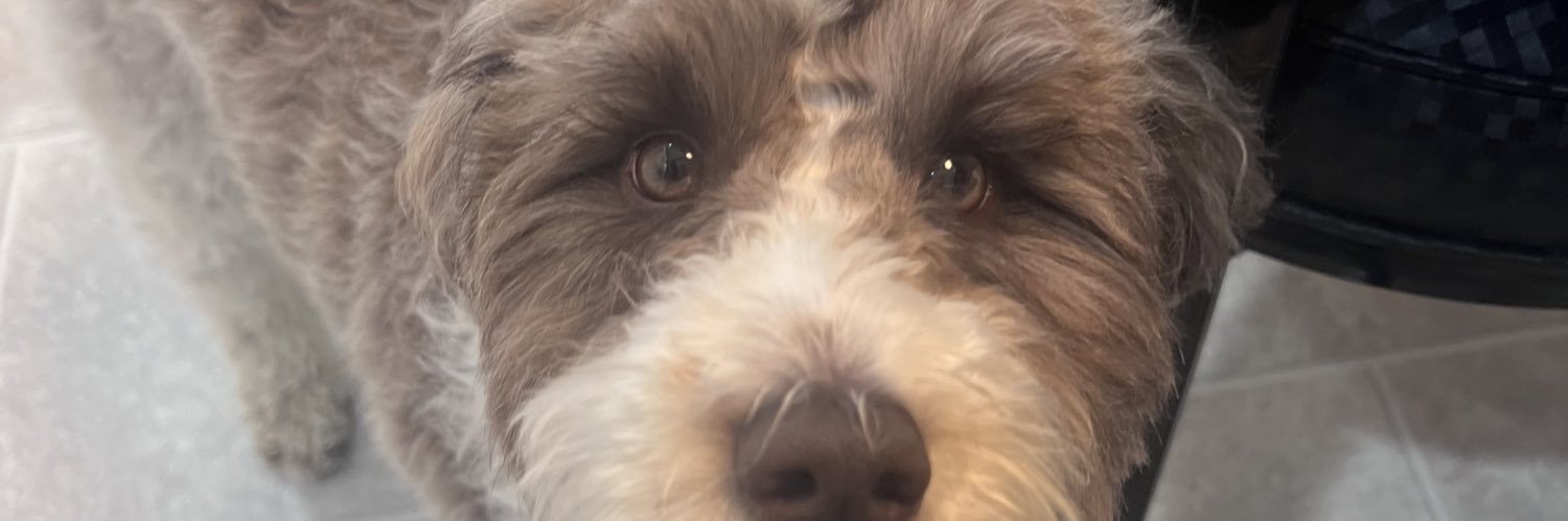 colucci_em's profile banner image