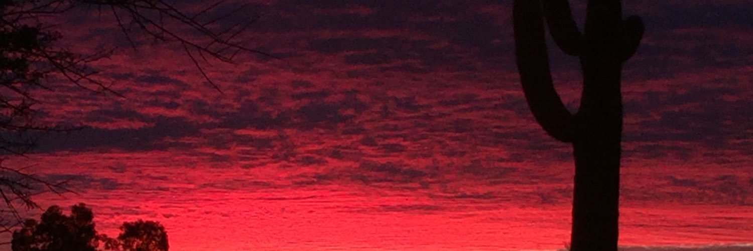 corey_harper's profile banner image