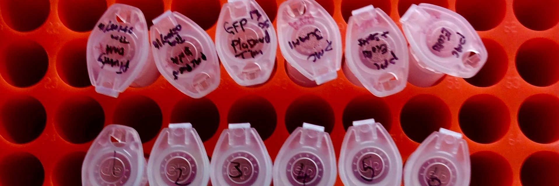 Timothy de Wet banner