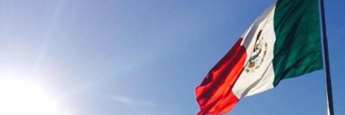 Iennywise's profile banner image