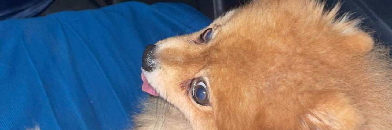 vseankyle's profile banner image