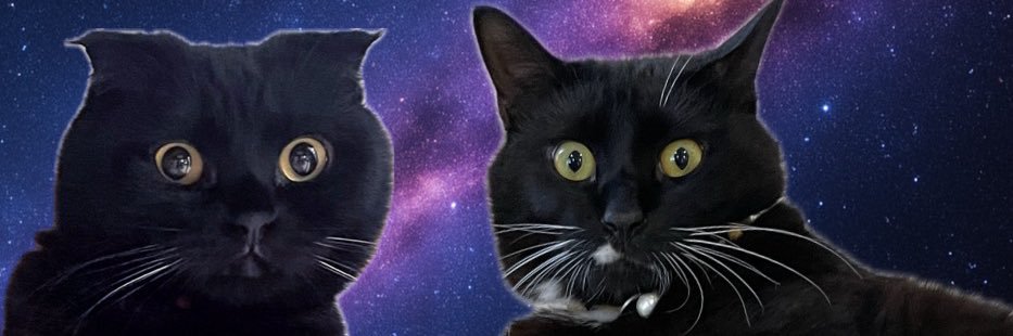 picocivic's profile banner image