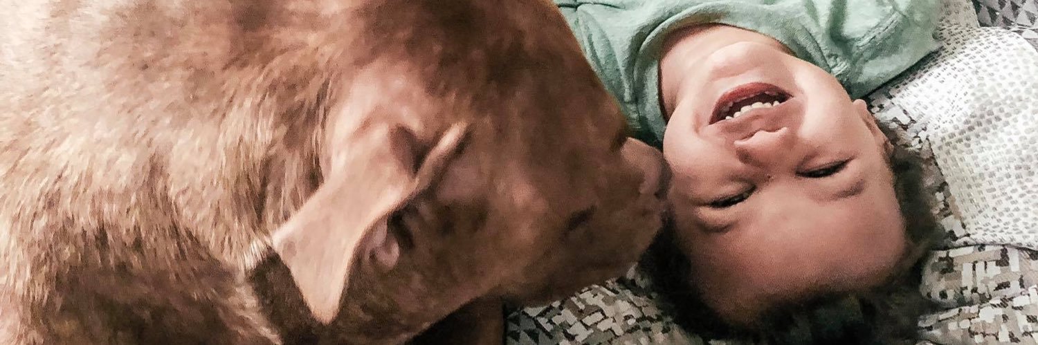 tayhens_'s profile banner image