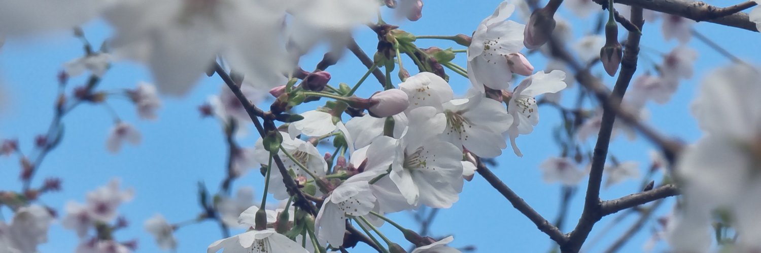 Ruzvel_'s profile banner image