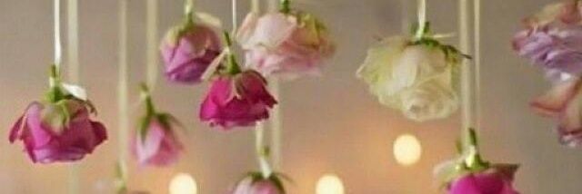 dalal1429's profile banner image