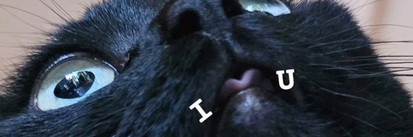 ladyxd_absolute's profile banner image