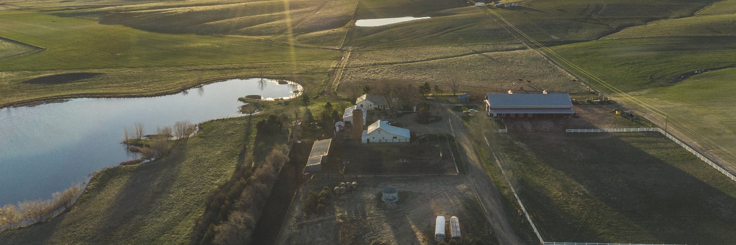 Flying B Bar Ranch banner