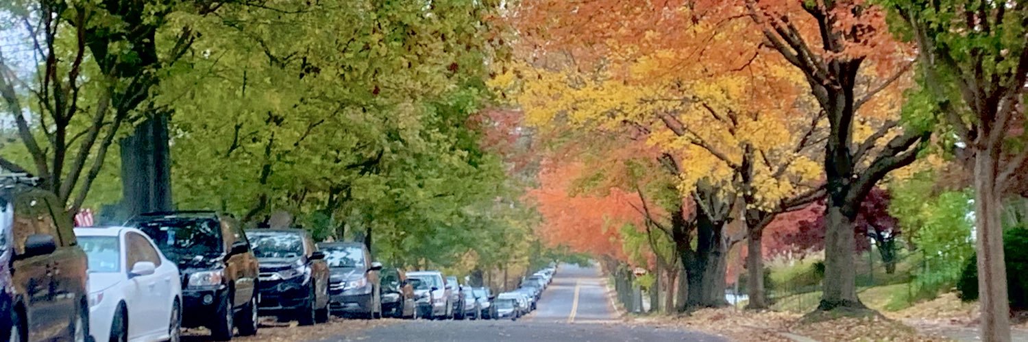 bobanpaul's profile banner image