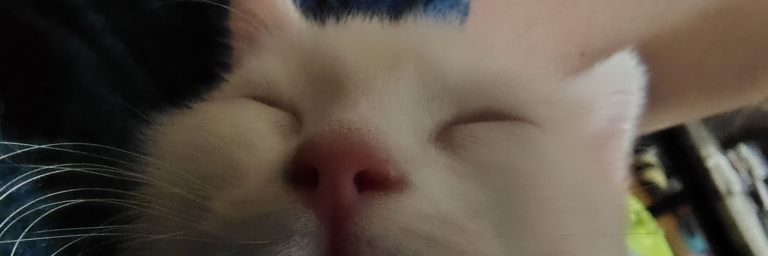 MrsKellyStewart's profile banner image