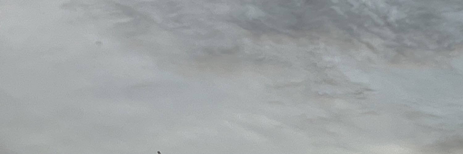 SofiaFloat's profile banner image