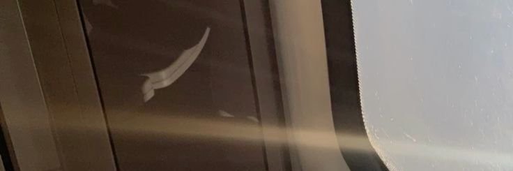 FacundoIribas's profile banner image