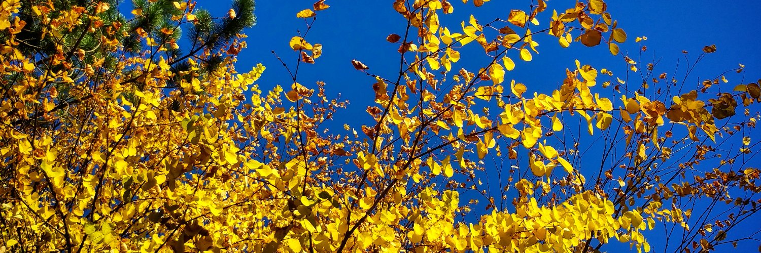 Anbjoerg's profile banner image