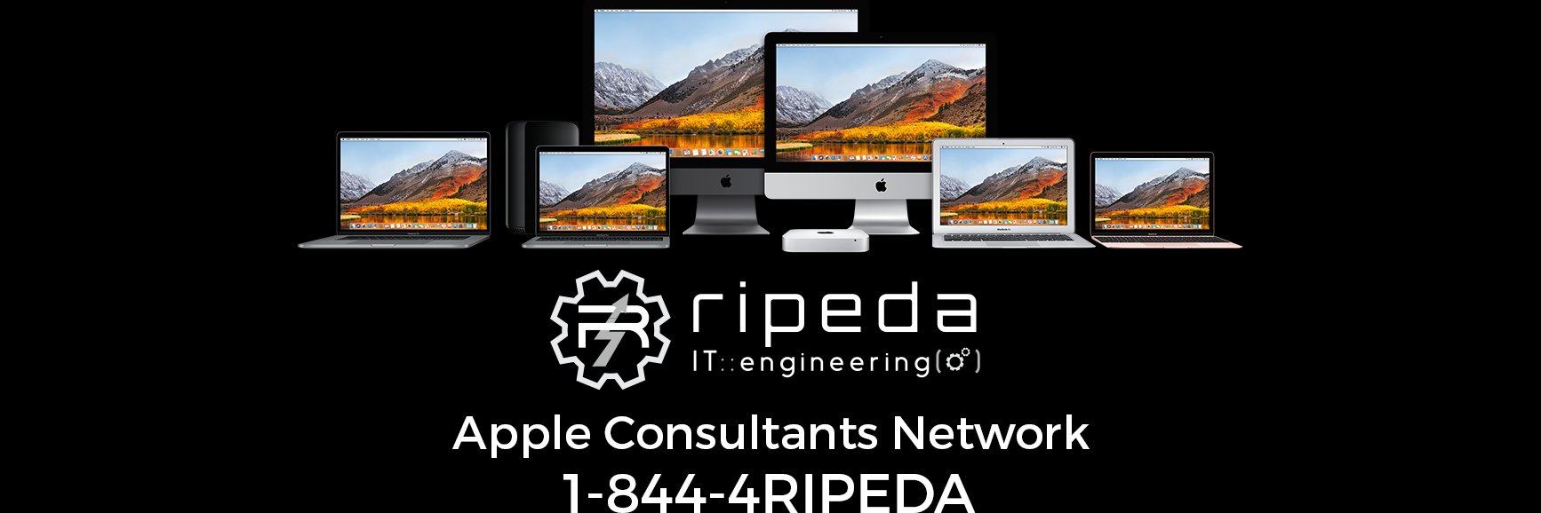 ripeda's profile banner image