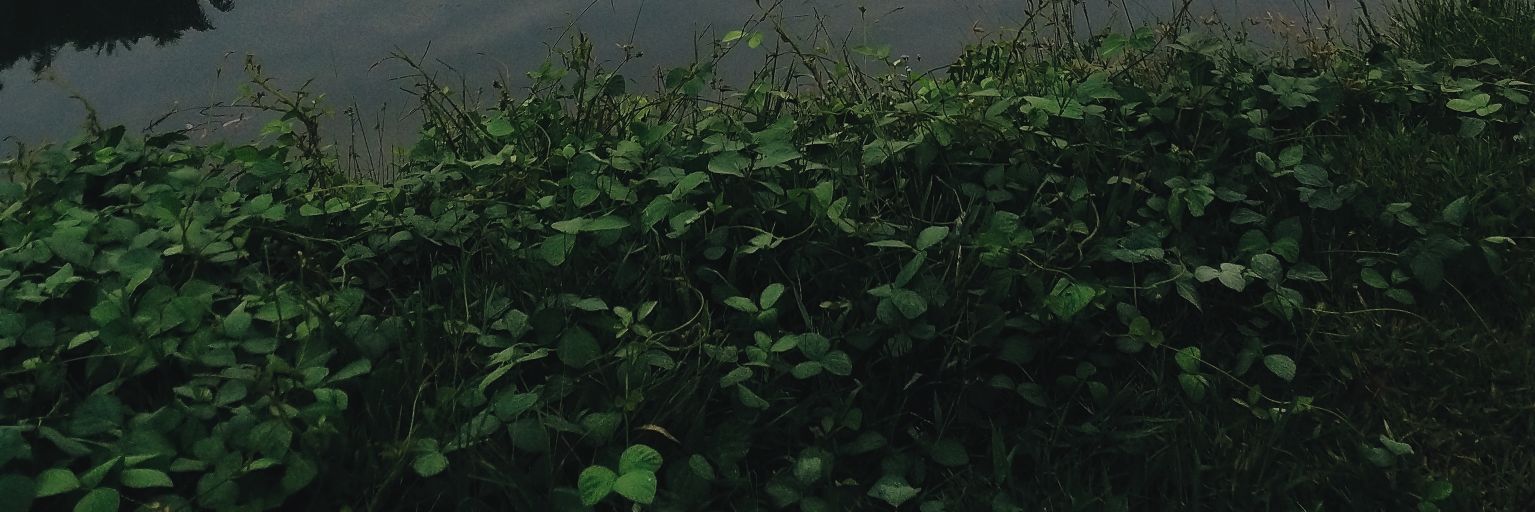FADZLUDIN's profile banner image