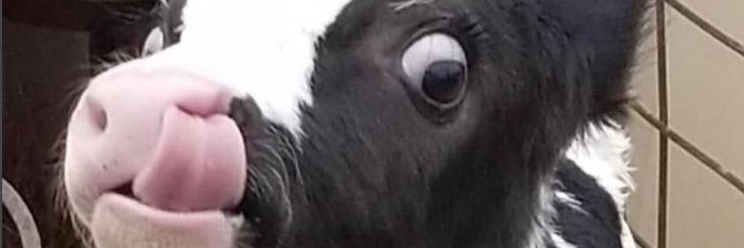berkaydnii's profile banner image