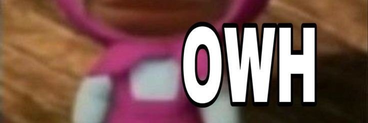 ꔠ˚₊‧ banner