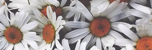 SanchoGuada's profile banner image