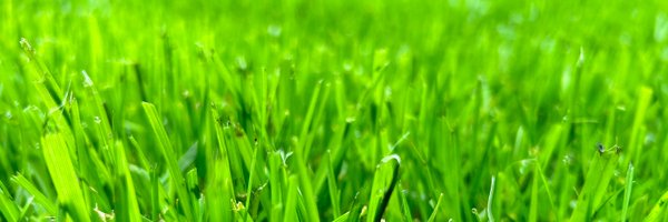 BA5AG Profile Banner