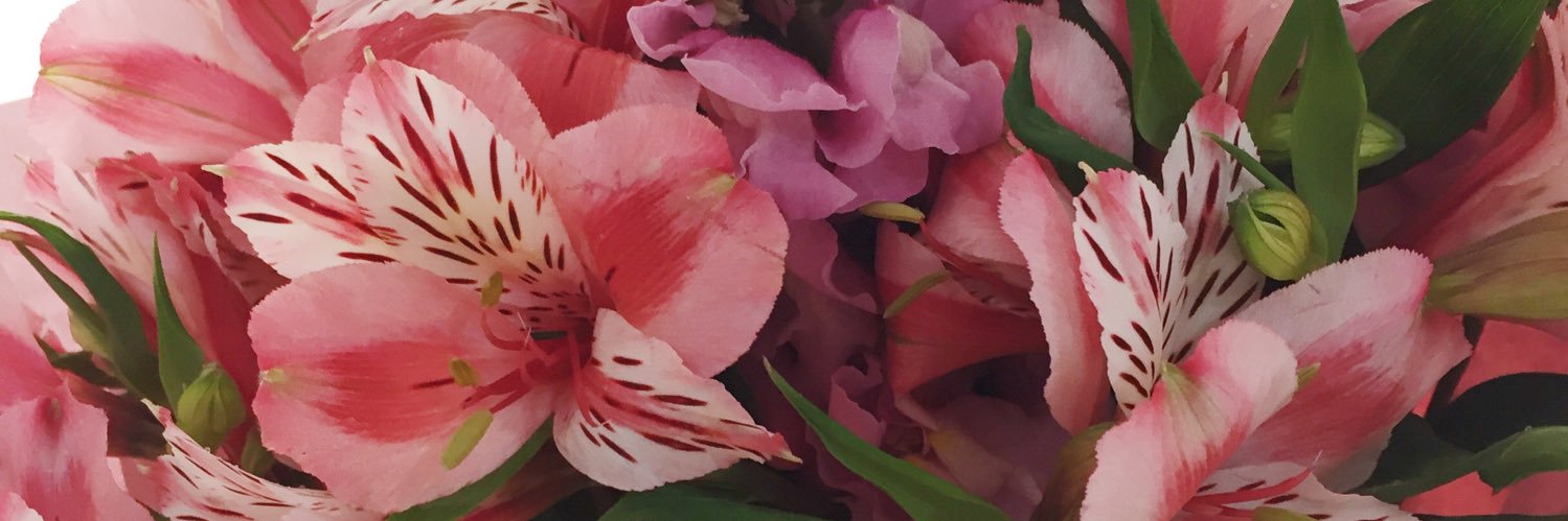 roomstoexplore's profile banner image