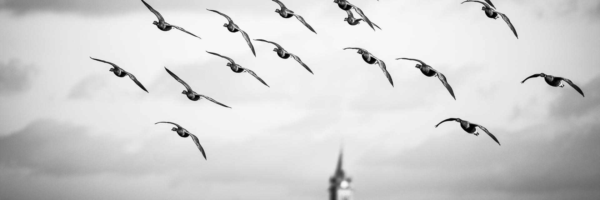 PME_link's profile banner image