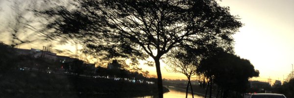 silvianagata Profile Banner