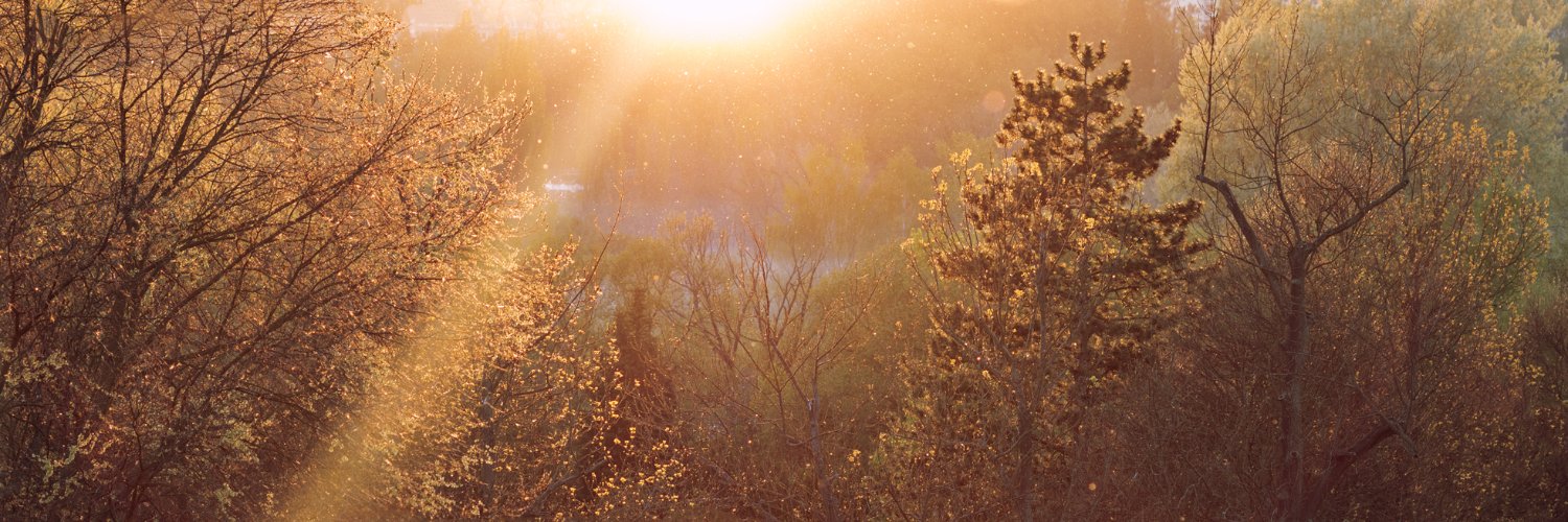 ivafrydkova's profile banner image