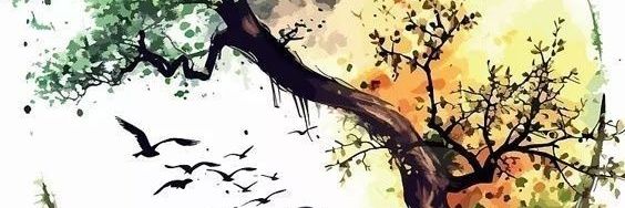 sinapsis35's profile banner image