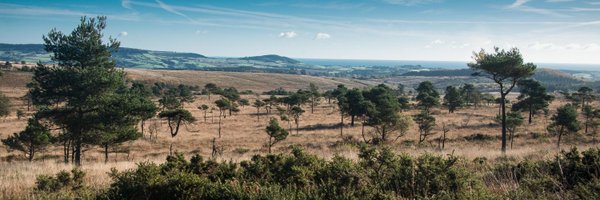 ClintonDevon Profile Banner