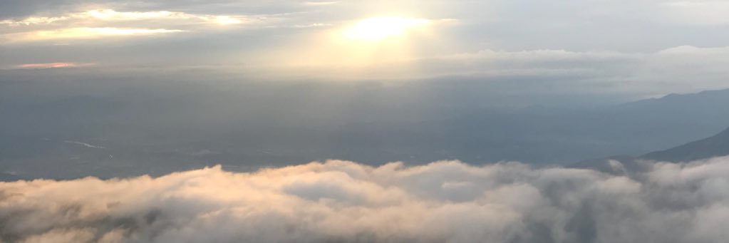 no_on523's profile banner image