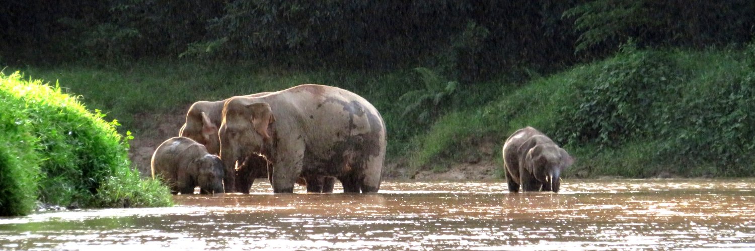 EarthLodgeMsia's profile banner image