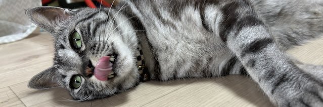 macky_summer's profile banner image