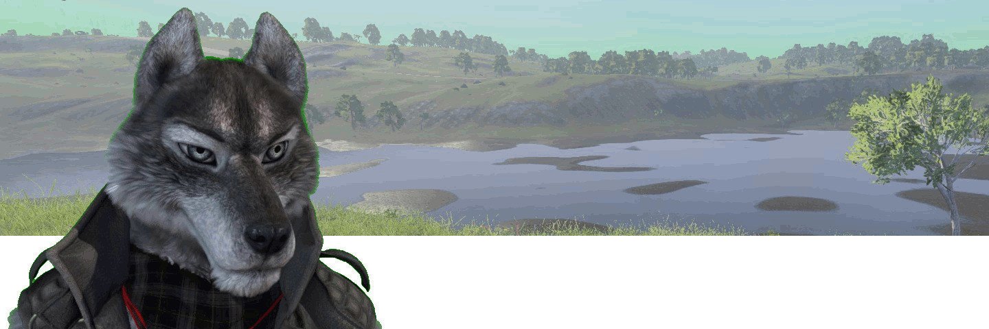 VimWolf's profile banner image