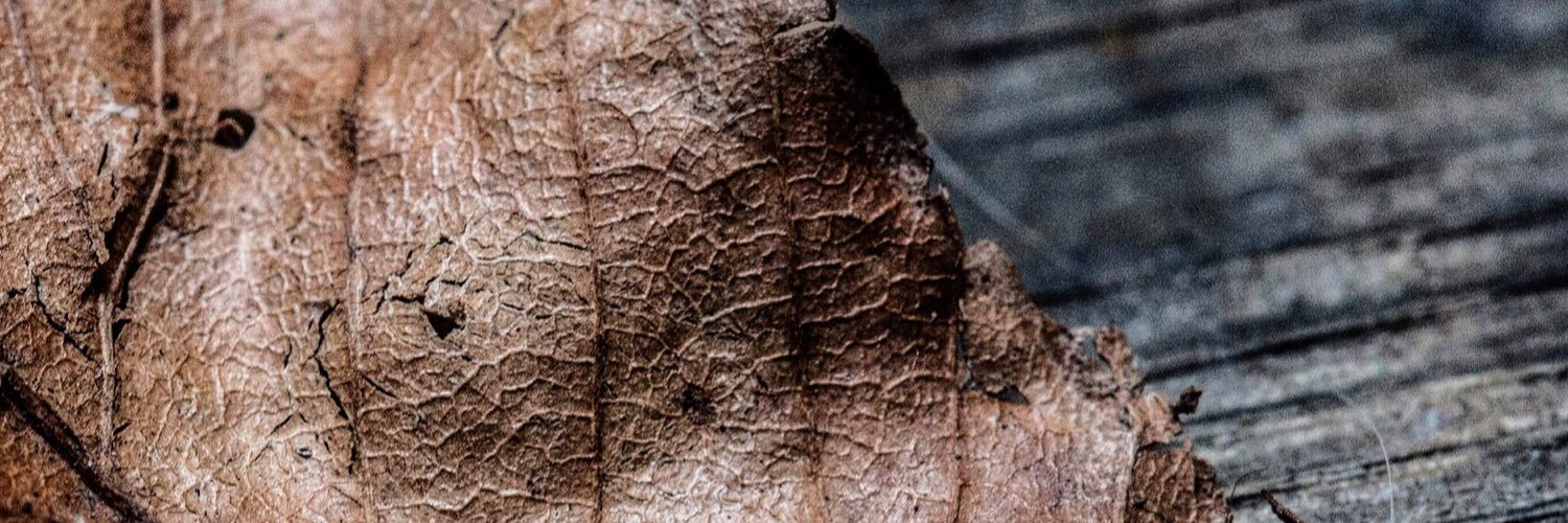 alexvakulin's profile banner image