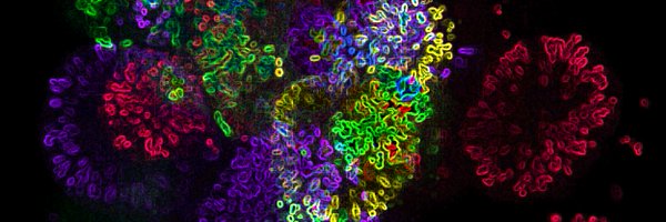 fatima_snc Profile Banner