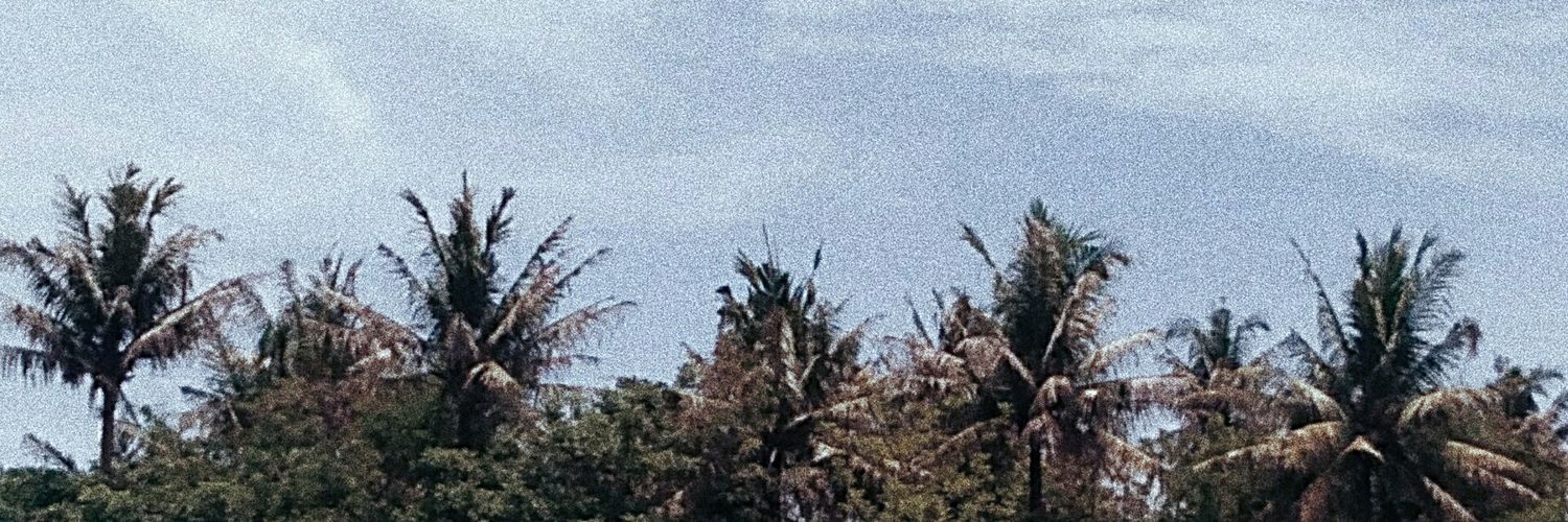 deerafika's profile banner image