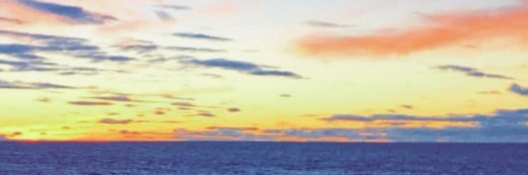 MichelleGal99's profile banner image
