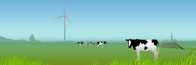 Anja 🙋🏼‍♀️ banner