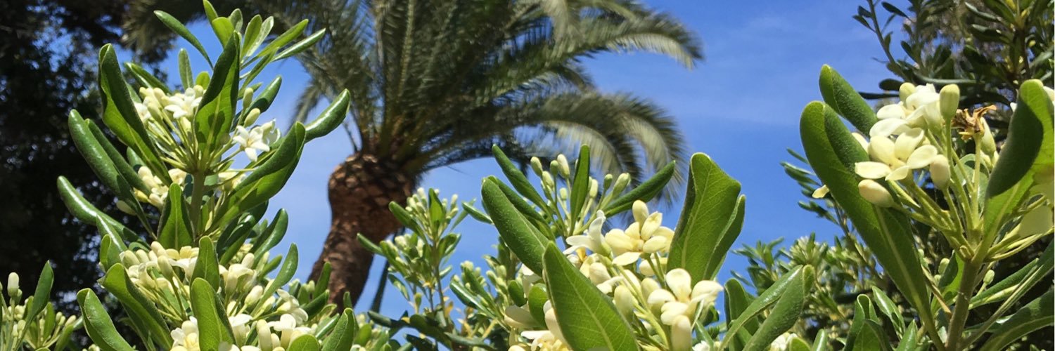 jpkrebs's profile banner image