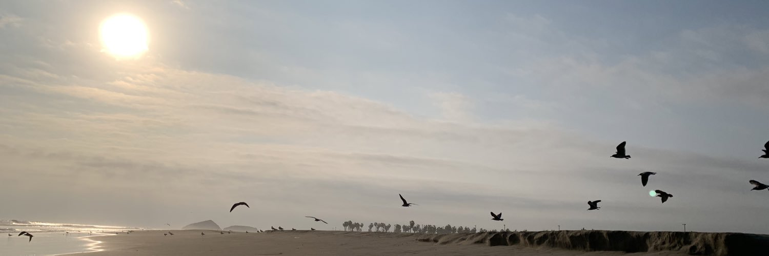 Carlos Mendieta banner