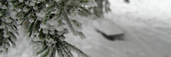 CamillaDAngelo Profile Banner