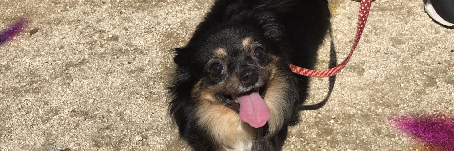 小悪魔なソラ・パパ banner