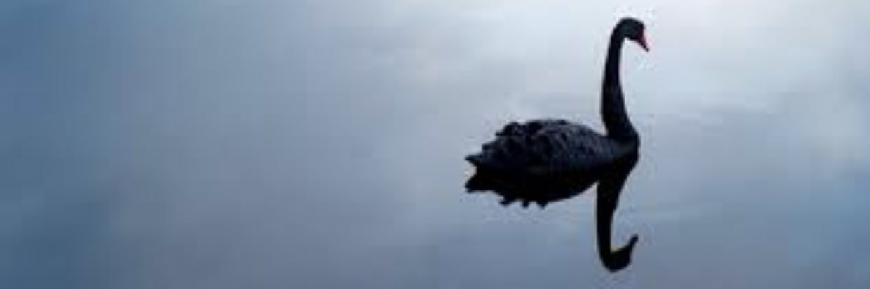 Monik_Ess's profile banner image