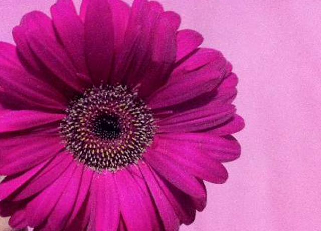 windaantarii's profile banner image