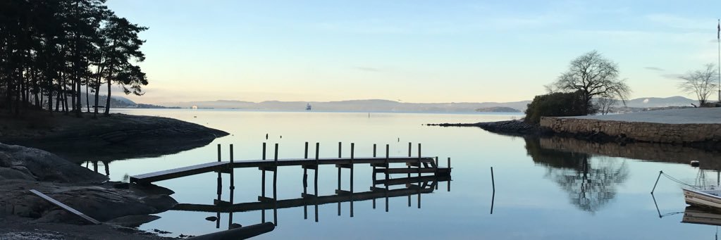 VibekeStrand's profile banner image